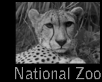 NationalZoo