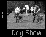 KentlandsDogShow