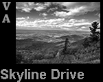 NatureWvSkylineDrive