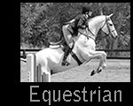 Equestrian