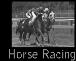 HorseRacing