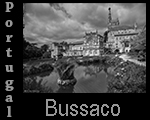 Bussaco